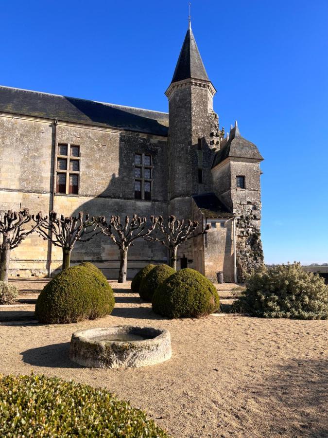 Maisons D'Hotes Du Chateau Au Grand Pressigny Le Grand-Pressigny Екстериор снимка